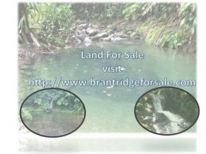 Dominica Land - Brantridge Estate